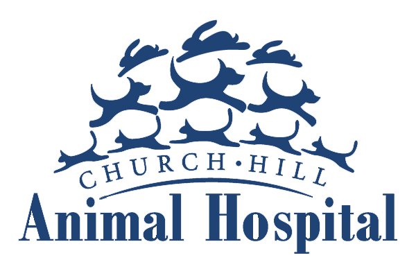 Richmond, VA 23223 Veterinarian - Church Hill Animal Hospital